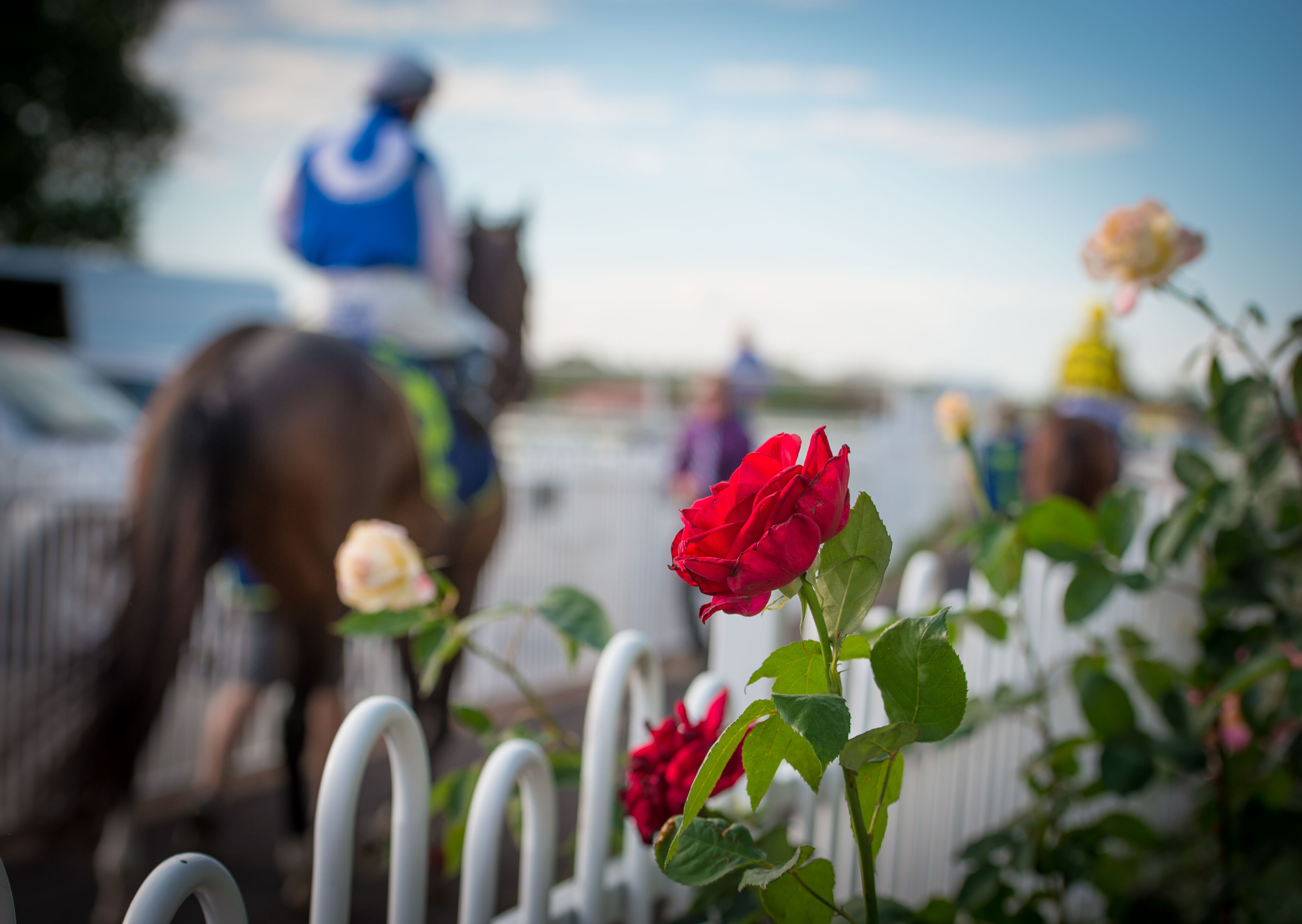 Ladies Day